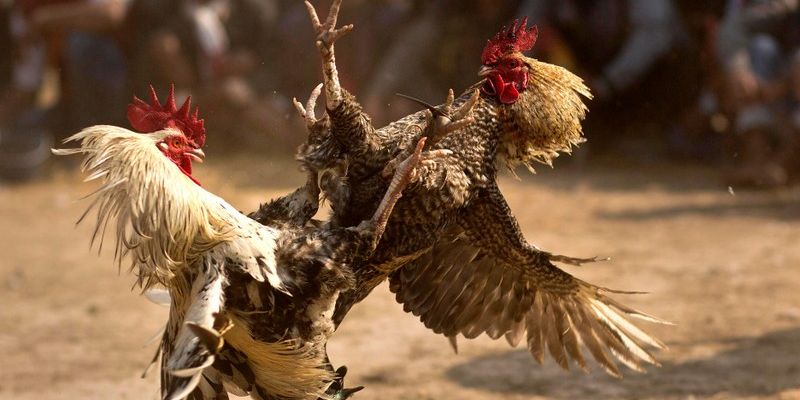 Ưu điểm nổi bật của sảnh