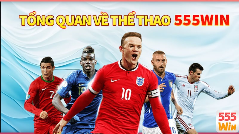 Những ưu điểm nổi bật của sảnh cược thể thao 555WIN